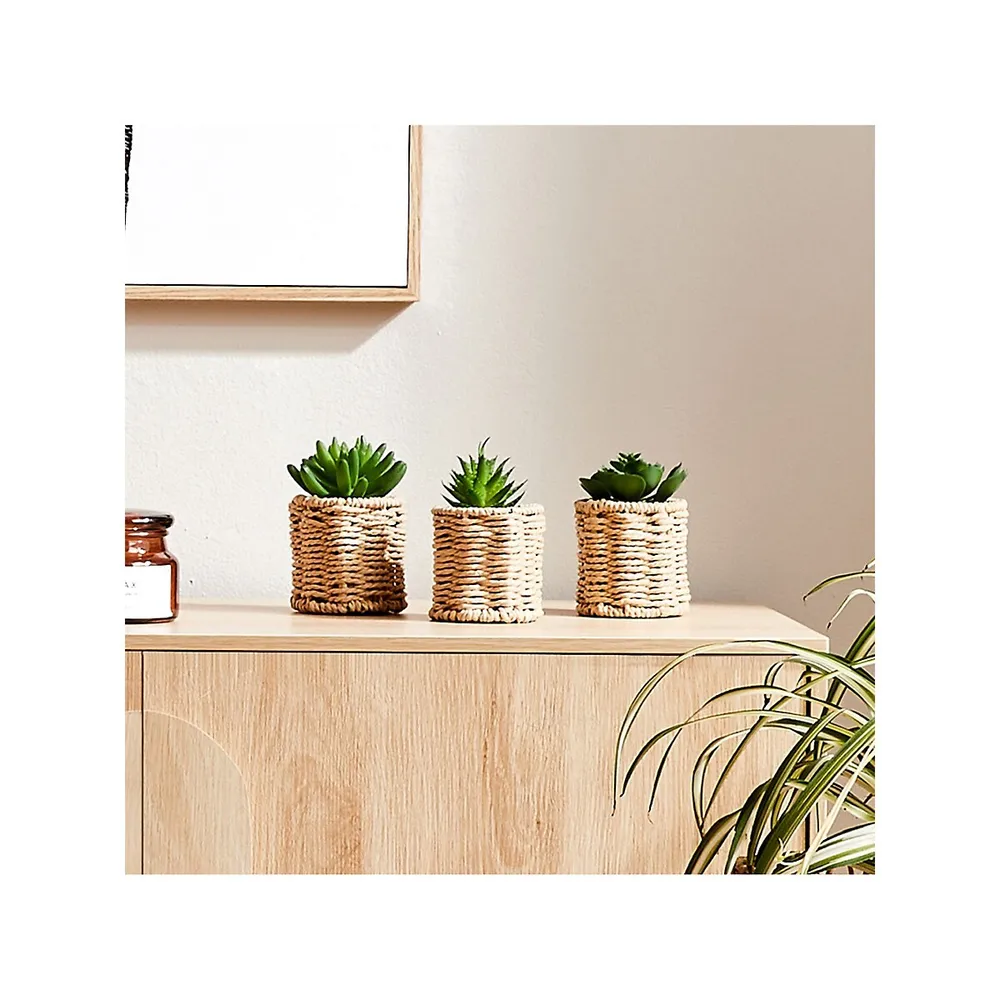 3-Piece Artificial Succulents and Rattan-Look Pot Set