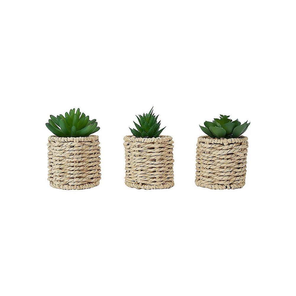 3-Piece Artificial Succulents and Rattan-Look Pot Set