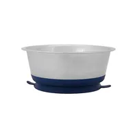 Stainless Steel Vacuum-Sealed Pet Bowl - Medium