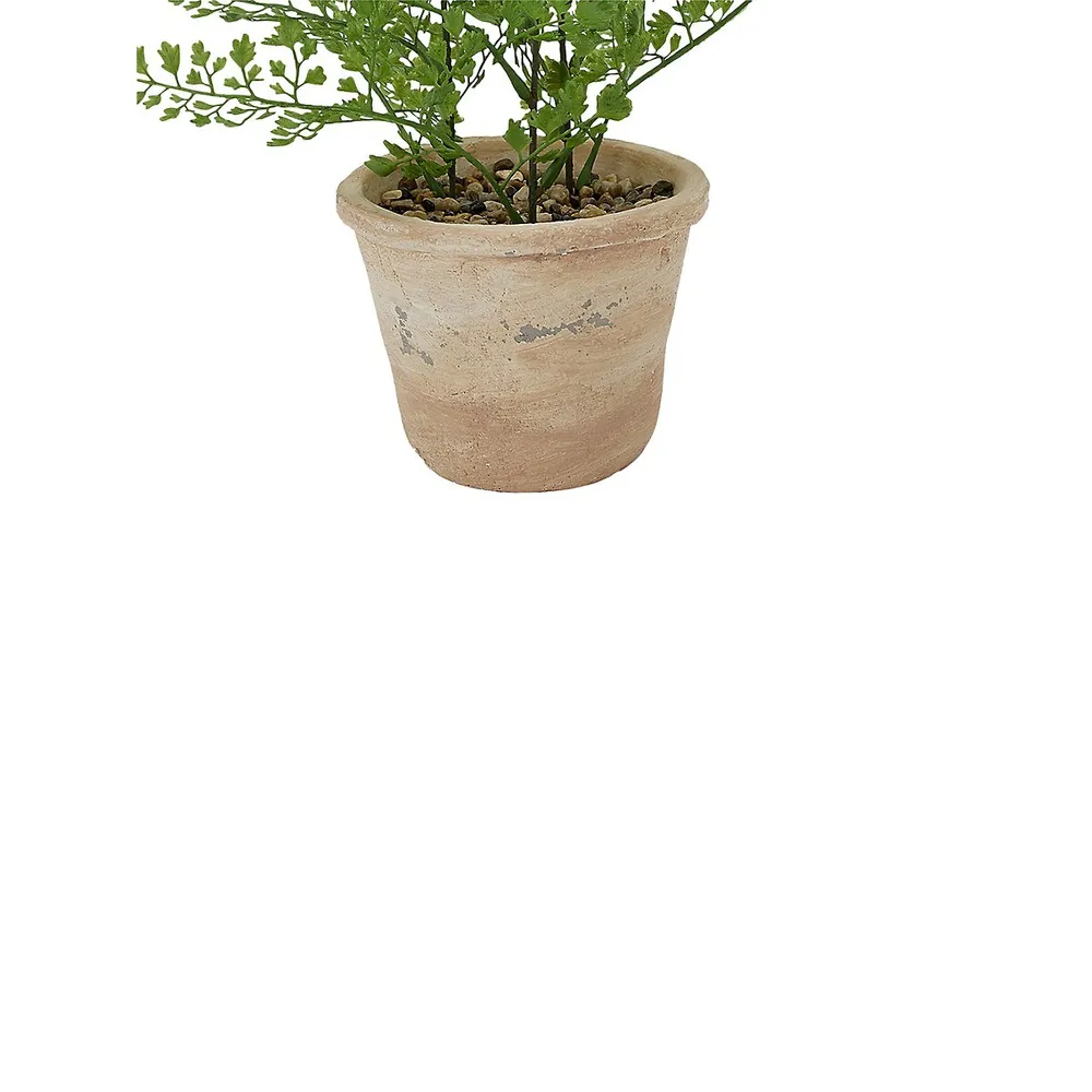 Artificial Fern In Pot