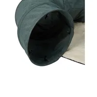 Cat Mat and Tunnel