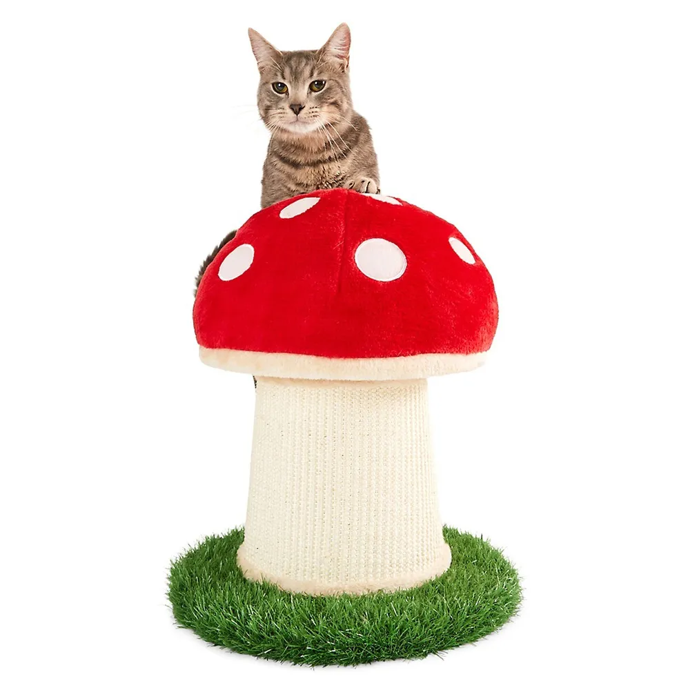 Mushroom Cat Scratcher