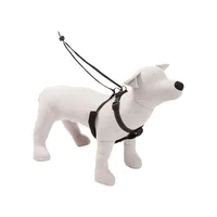 Anti-Pull Dog Harness