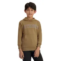 Boy's Printed Pullover Hoodie