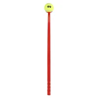 Ball Launcher Pet Toy