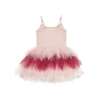 Baby Girl's Sequin and Tulle Tutu Dress