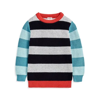 Little Boy's Stripe Crew Knit Sweater