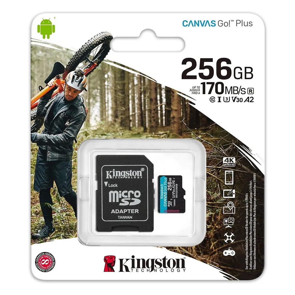 Transcend 256 GB Industrial MicroSD Micro SD Card, V30
