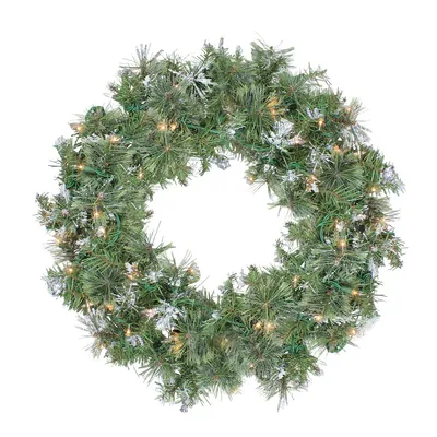 24" Pre-lit Snow Mountain Pine Artificial Christmas Wreath - Clear Lights