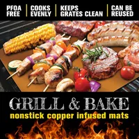 2 Piece Baking and Grilling Mats