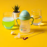 Sippy Cup Replacement Straws & Cleaner