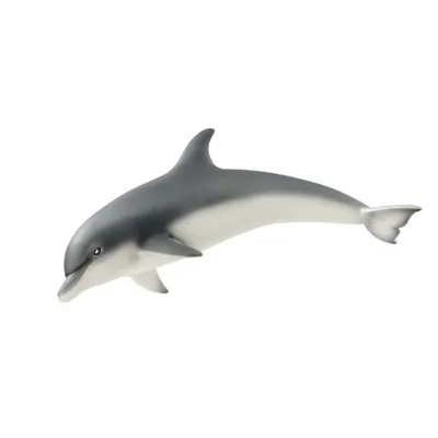 Wild Life: Dolphin