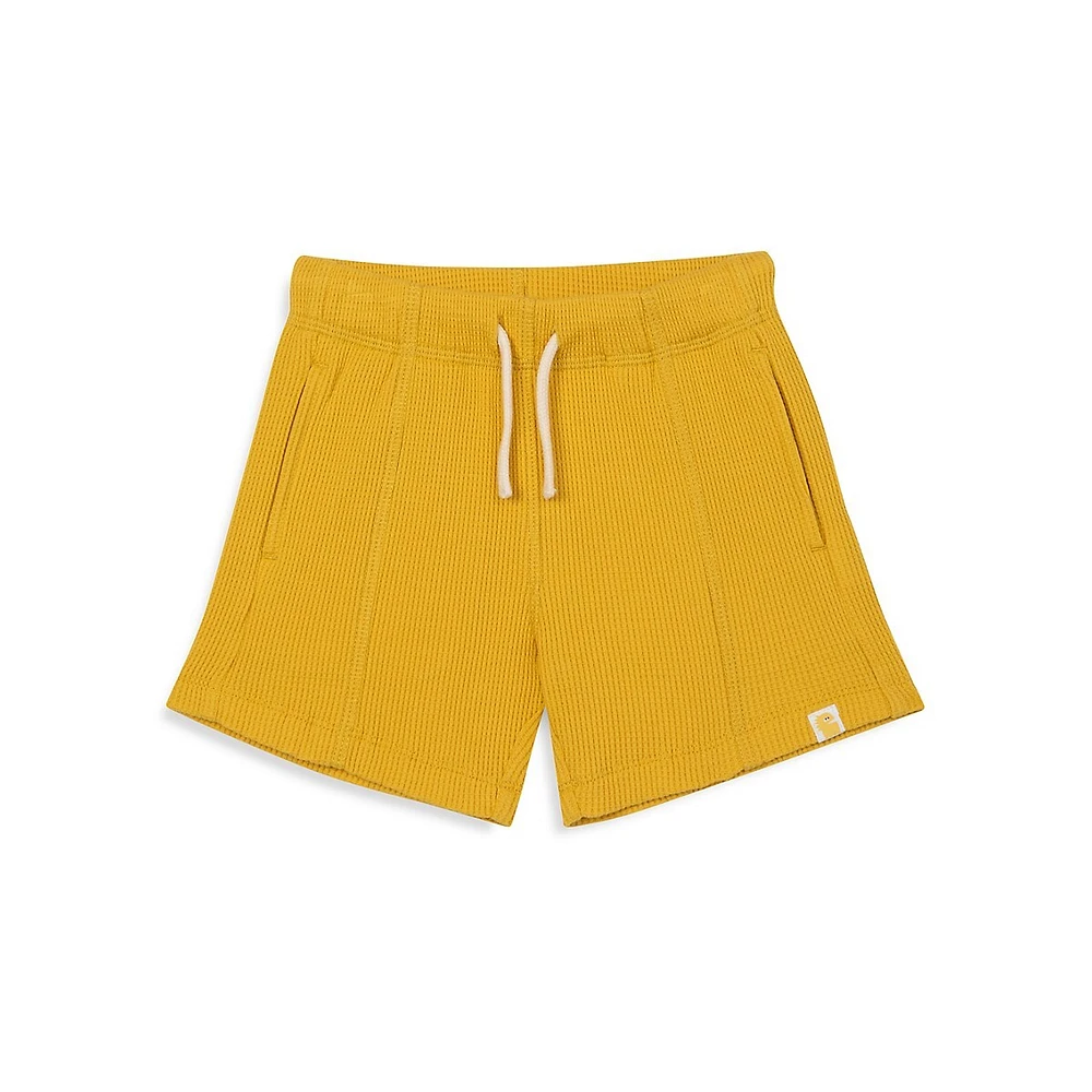 Baby Boy's & Little Waffle-Knit Shorts