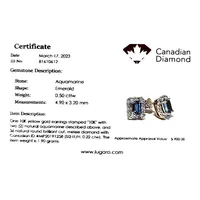 10k Yellow Gold 0.50 Cttw Aquamarine Gemstone & 0.22 Cttw Canadian Diamond Halo Style Stud Earrings