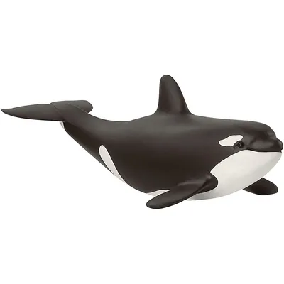 Wild Life: Baby Orca (killer Whale)