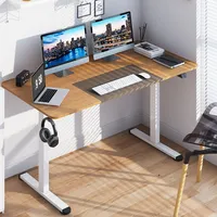 55'' Electric Standing Desk Height Adjustable Home Office Table W/hook