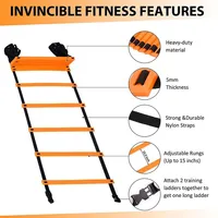 Ladder, 6m Rung Ladder With Black Carry Case Ideal For Speed Training Football Game Training Workout Men