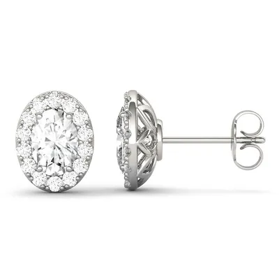 14k White Gold & 2.22 Ct. T.w. Created Moissanite Oval Halo Stud Earrings