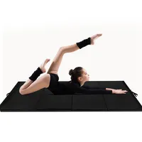 4'x10'x2" Thick Folding Panel Gymnastics Mat Gym Fitness Exercise Mat