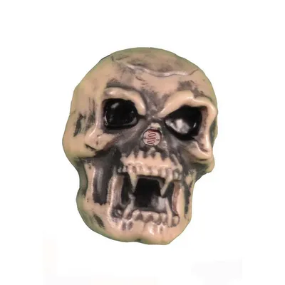 Hidden Skull Screamer Decor