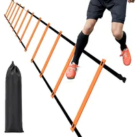 Ladder, 6m Rung Ladder With Black Carry Case Ideal For Speed Training Football Game Training Workout Men