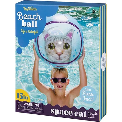 Beach Ball Space Cat