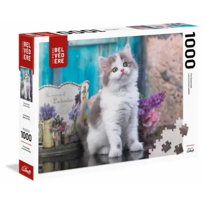 Curious Kitten - 1000 Pc Puzzle
