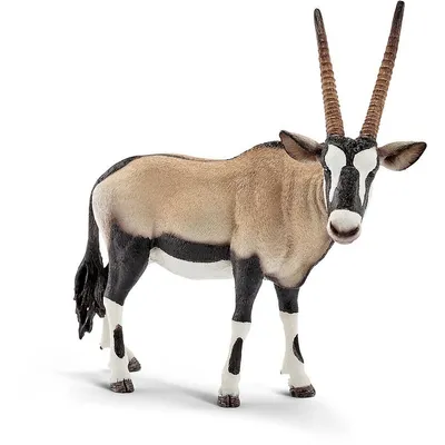 Wild Life: Oryx