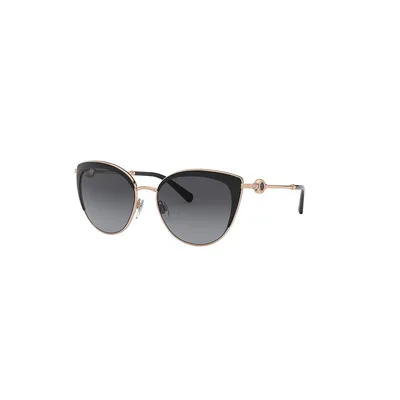 Bv6133 Polarized Sunglasses