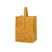Grocery Bag With Handle