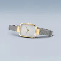 Ladies Classic Stainless Steel Watch In Yellow Gold/silver