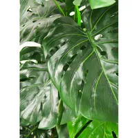 Faux Botanical Monstera In Green 48 In. Height