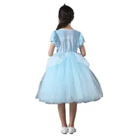 Princess Cinderella Girl Costume
