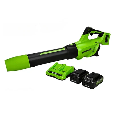 48V (2 x 24V) Axial Blower, (2) 2.0Ah USB Batteries and 4A Dual Port Charger Included