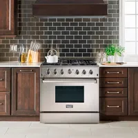 Professional 36-in 5.2 Cu. Ft. Natural Gas Range With Convection Oven
