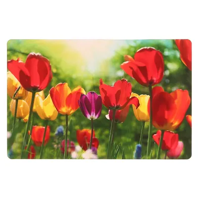 Plastic Placemat (tulip Garden) - Set Of 12