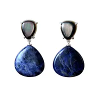 Sodalited Teardrop Gemstone Earrings