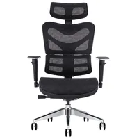 Space Mesh Executive Ergonomic Desk Chair With Headrest And Backrest 360 Swivel Task Chair With Wheels