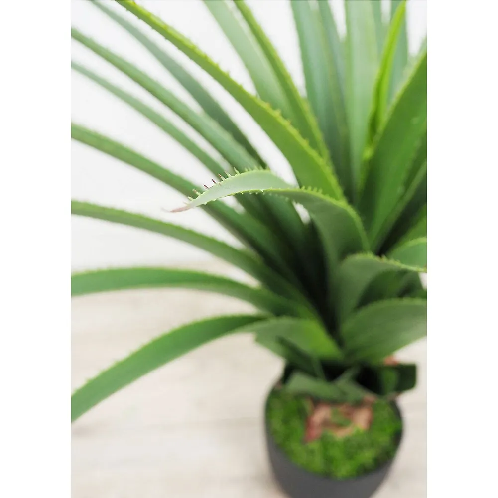 Faux Botanical Green Dracaena 28 In. Height
