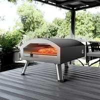 12" Indoor/outdoor Electric Pizza Oven