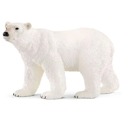 Wild Life: Polar Bear