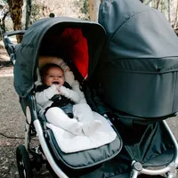 Organic Cotton Infant Insert For Strollers