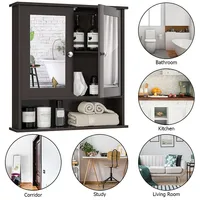 Wall Mount Mirror Cabinet