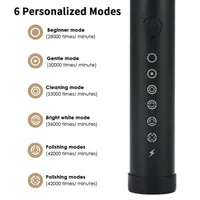 Rechargeable Electric Toothbrush With 8 Brush Heads