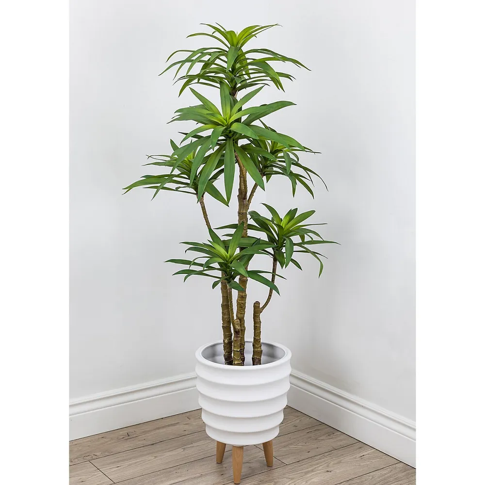 Faux Botanical Dracaena In Green 51 In. Height