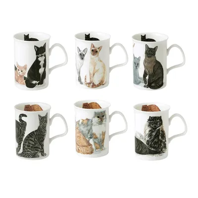 Lancaster Mug - Cats Galore , 320 Ml - Set Of 6