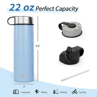 22 Oz Double Wall Insulated Water Bottle Stainless Steel W/ 2 Lids & Straw