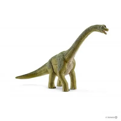 Dinosaurs: Brachiosaurus