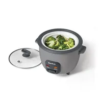Electric Rice Cooker, 10 Liter Capacity, Non-stick Surface