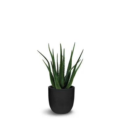 Faux Botanical Aloe With Pot In Green In. Height